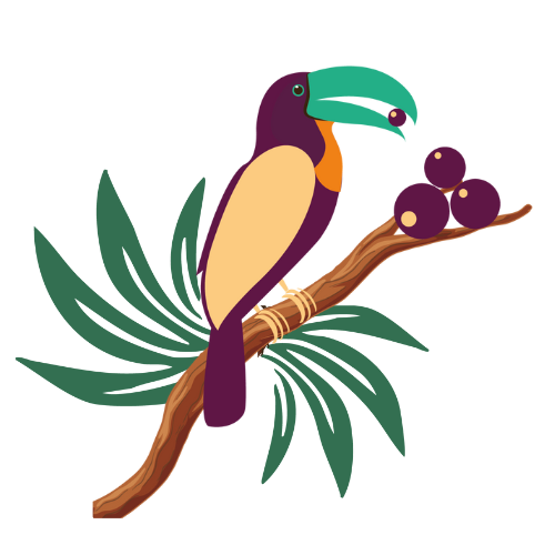 Benefícios do Açaí